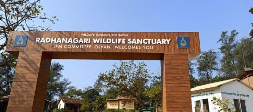 Radhanagari Wildlife Sanctuary, Sindhudurg, Maharashtra - Vushii.com Radhanagari Wildlife Sanctuary, Sindhudurg, Maharashtra - Vushii.com